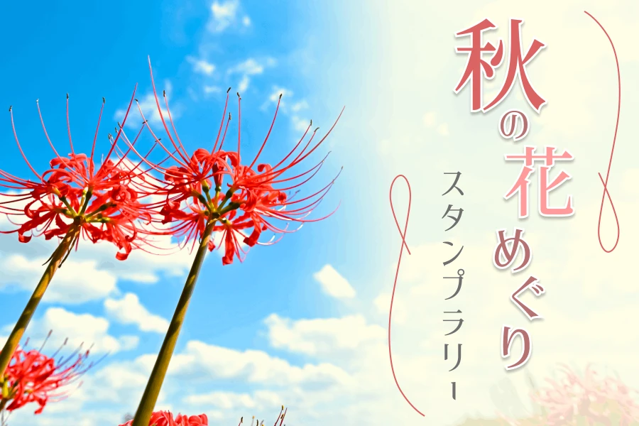 秋の花めぐりスタンプラリー