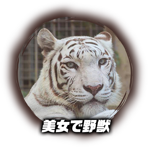 美女で野獣