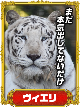 ヴィエリ