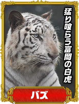 バズ