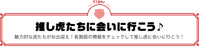 推し虎たちに会いに行こう♪