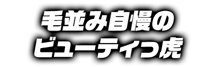 毛並み自慢のビューティっ虎